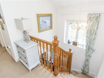 Picture 17